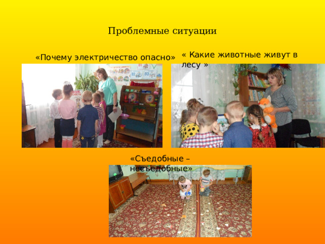 Проблемные ситуации « Какие животные живут в лесу » «Почему электричество опасно» «Съедобные – несъедобные» 