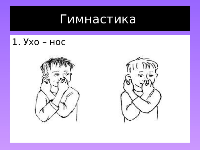 Гимнастика Ухо – нос  