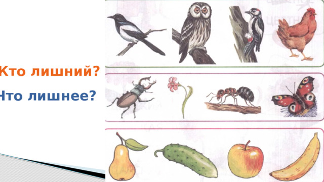 Кто лишний? Что лишнее? 