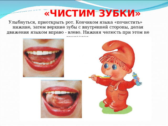 «ЧИСТИМ ЗУБКИ» Улыбнуться, приоткрыть рот. Кончиком языка «почистить» нижние, затем верхние зубы с внутренней стороны, делая движения языком вправо - влево. Нижняя челюсть при этом не двигается. 