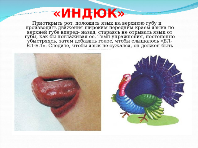 «ИНДЮК» Приоткрыть рот, положить язык на верхнюю губу и производить движения широким передним краем языка по верхней губе вперед- назад, стараясь не отрывать язык от губы, как бы поглаживая ее. Темп упражнения, постепенно убыстряясь, затем добавить голос, чтобы слышалось «БЛ-БЛ-БЛ». Следите, чтобы язык не сужался, он должен быть широким. 