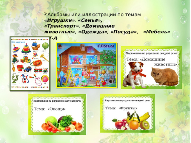 Альбомы или иллюстрации по темам  «Игрушки» .  «Семья», «Транспорт» ,  «Домашние животные» ,  «Одежда» ,  «Посуда» ,  «Мебель» и т.д . 