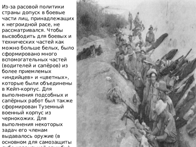 Из-за расовой политики страны допуск в боевые части лиц, принадлежащих к негроидной расе, не рассматривался. Чтобы высвободить для боевых и технических частей как можно больше белых, было сформировано много вспомогательных частей (водителей и сапёров) из более приемлемых «индийцев» и «цветных», которые были объединены в Кейп-корпус. Для выполнения подсобных и сапёрных работ был также сформирован Туземный военный корпус из чернокожих. Для выполнения некоторых задач его членам выдавалось оружие (в основном для самозащиты либо караульной службы), однако им никогда не позволялось участвовать в боевых действиях против европейцев. 