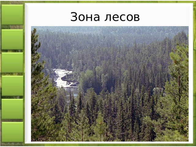 Зона лесов 
