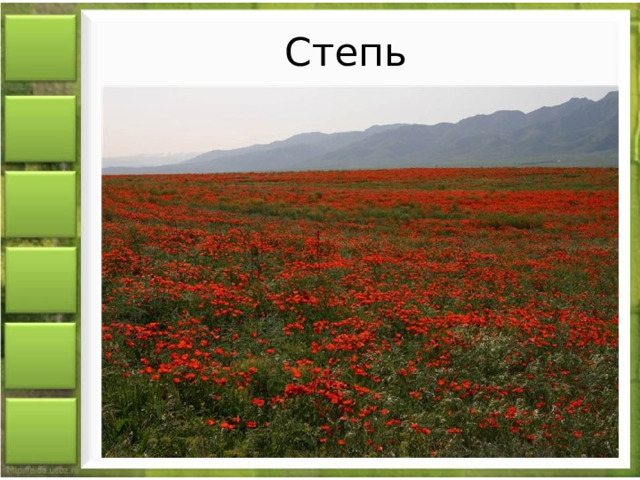 Степь 