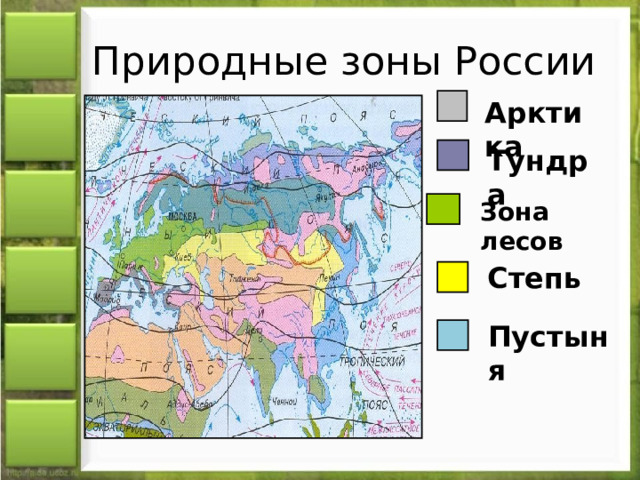 Природные зоны России Арктика Тундра Зона лесов Степь Пустыня 