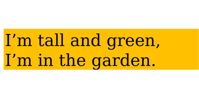 I’m tall and green, I’m in the garden. 