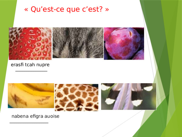 « Qu’est-ce que c’est? » erasfi tcah nupre ______________ nabena efigra auoise _________________ 