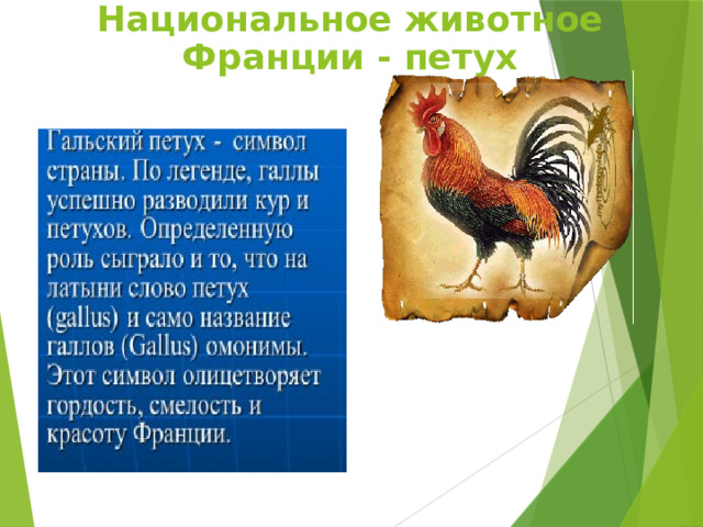 Национальное животное Франции - петух 