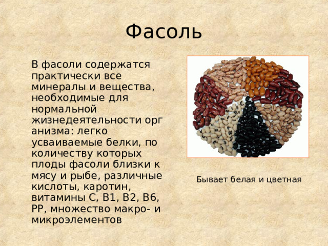 Фасоль    В фасоли содержатся практически все минералы и вещества, необходимые для нормальной  жизнедеятельности организма: легко усваиваемые белки, по количеству которых плоды фасоли близки к мясу и рыбе, различные кислоты, каротин, витамины С, B1, В2, В6, РР, множество макро- и микроэлементов Бывает белая и цветная 