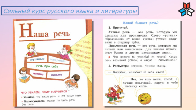 Сильный курс русского языка и литературы 