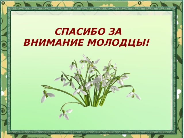 Спасибо за внимание Молодцы! 