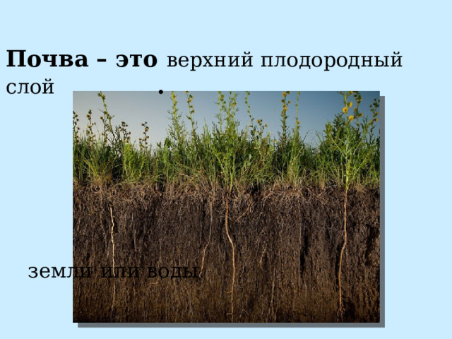 Почва – это верхний плодородный слой . земли или воды 