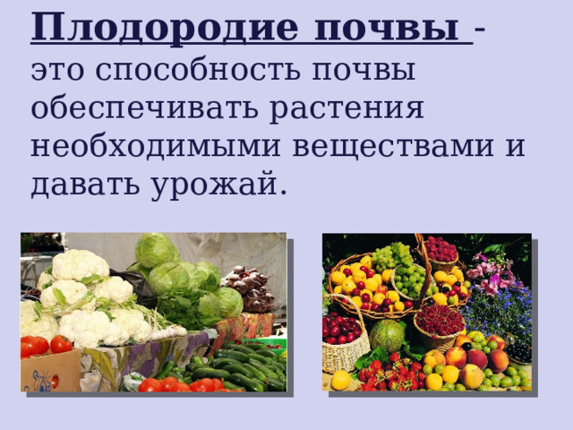 Плодородие почвы - это способность почвы обеспечивать растения необходимыми веществами и давать урожай.  