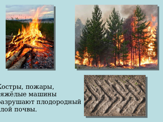 Костры, пожары, тяжёлые машины разрушают плодородный слой почвы. 