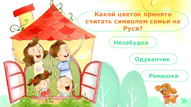Какой цветок принято считать символом семьи на Руси? Незабудка Одуванчик Ромашка 
