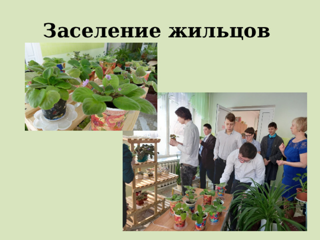 Заселение жильцов 