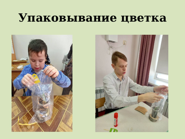 Упаковывание цветка 