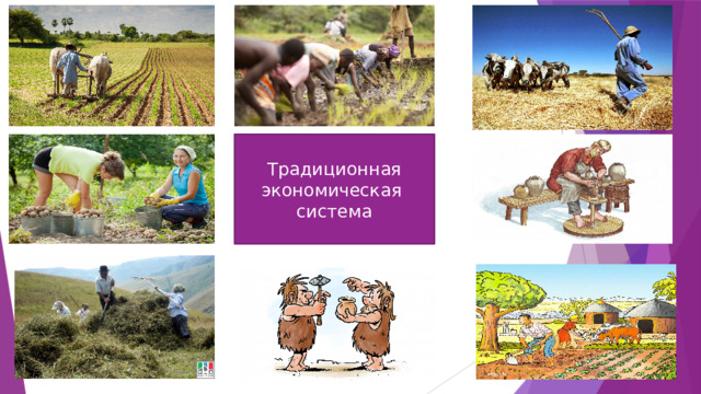 Традиционная экономическая система 