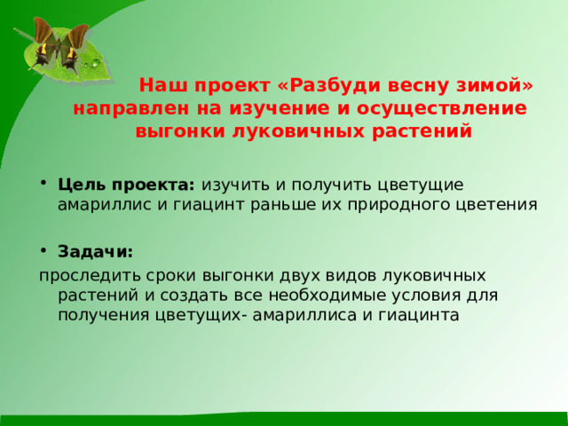  Наш проект «Разбуди весну зимой» направлен на изучение и осуществление  выгонки луковичных растений Цель   проекта: изучить и получить цветущие амариллис и гиацинт раньше их природного цветения  Задачи: проследить сроки выгонки двух видов луковичных растений и создать все необходимые условия для получения цветущих- амариллиса и гиацинта 