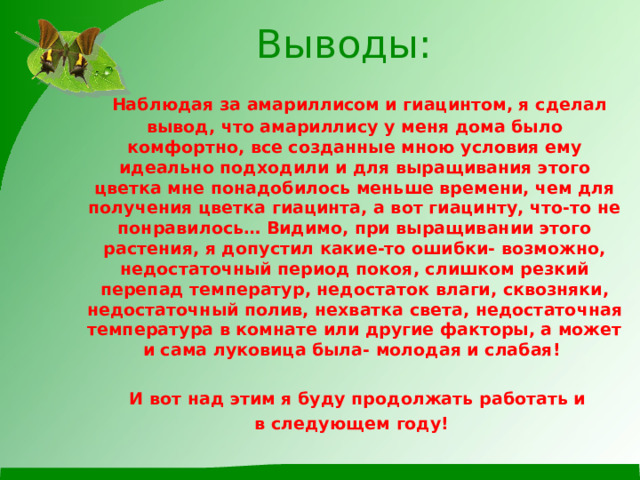 Выводы:  Наблюдая за амариллисом и гиацинтом, я сделал вывод, что амариллису у меня дома было комфортно, все созданные мною условия ему идеально подходили и для выращивания этого цветка мне понадобилось меньше времени, чем для получения цветка гиацинта, а вот гиацинту, что-то не понравилось… Видимо, при выращивании этого растения, я допустил какие-то ошибки- возможно, недостаточный период покоя, слишком резкий перепад температур, недостаток влаги, сквозняки, недостаточный полив, нехватка света, недостаточная температура в комнате или другие факторы, а может и сама луковица была- молодая и слабая!   И вот над этим я буду продолжать работать и  в следующем году! 