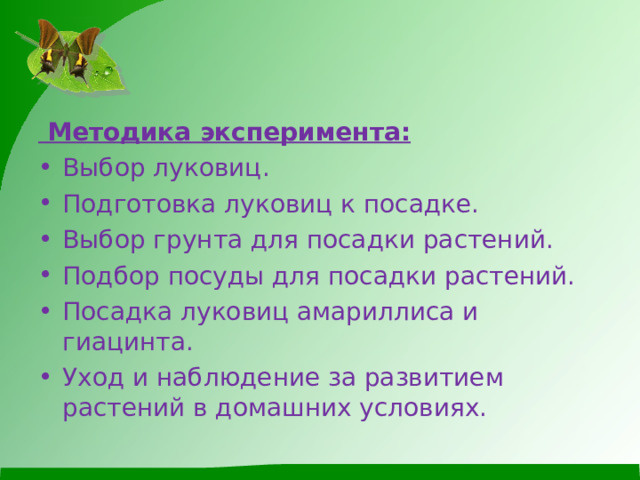  Методика эксперимента : Выбор луковиц. Подготовка луковиц к посадке. Выбор грунта для посадки растений. Подбор посуды для посадки растений. Посадка луковиц амариллиса и гиацинта. Уход и наблюдение за развитием растений в домашних условиях.   