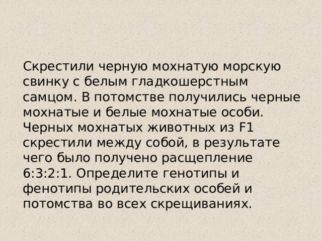  Скрестили черную мохнатую морскую свинку с белым гладкошерстным самцом. В потомстве получились черные мохнатые и белые мохнатые особи. Черных мохнатых животных из F1 скрестили между собой, в результате чего было получено расщепление 6:3:2:1. Определите генотипы и фенотипы родительских особей и потомства во всех скрещиваниях. 