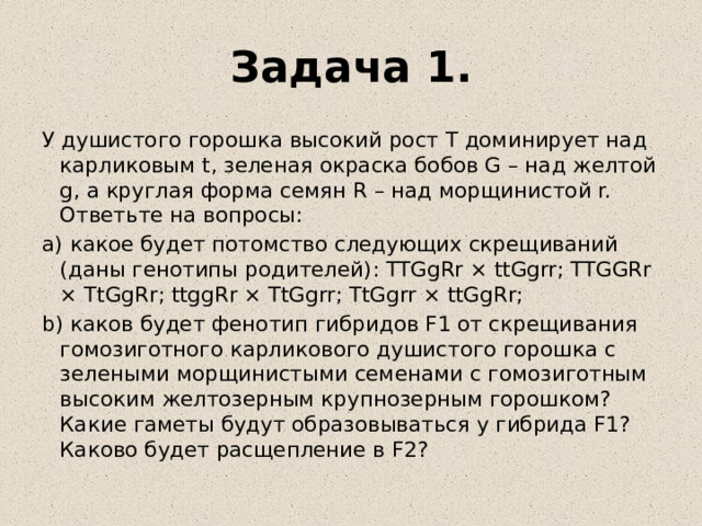 Задача 1. У душистого горошка высокий рост Т доминирует над карликовым t, зеленая окраска бобов G – над желтой g, а круглая форма семян R – над морщинистой r. Ответьте на вопросы: а) какое будет потомство следующих скрещиваний (даны генотипы родителей): TTGgRr × ttGgrr; TTGGRr × TtGgRr; ttggRr × TtGgrr; TtGgrr × ttGgRr; b) каков будет фенотип гибридов F1 от скрещивания гомозиготного карликового душистого горошка с зелеными морщинистыми семенами с гомозиготным высоким желтозерным крупнозерным горошком? Какие гаметы будут образовываться у гибрида F1? Каково будет расщепление в F2? 