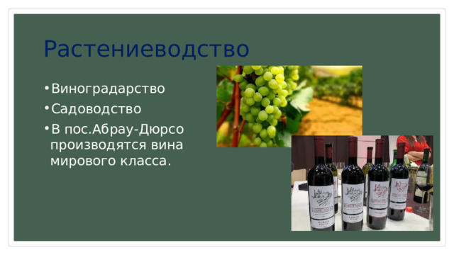 Растениеводство Виноградарство Садоводство В пос.Абрау-Дюрсо производятся вина мирового класса. 