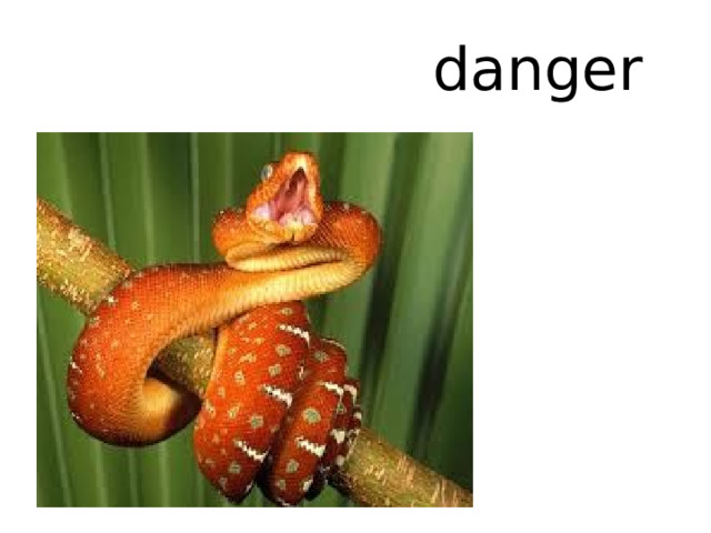 danger 