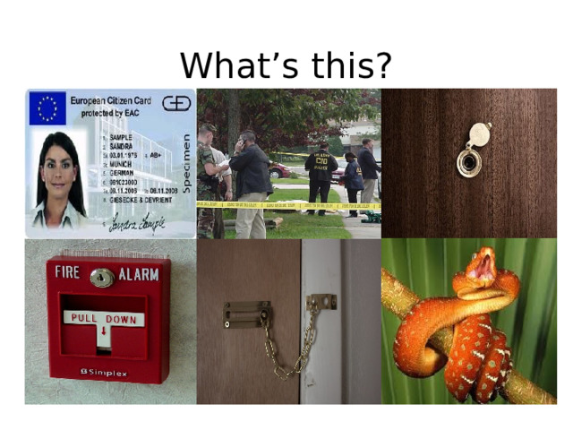 What’s this? 