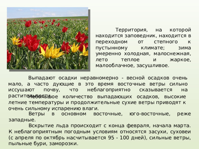  Территория, на которой находится заповедник, находится в переходном от степного к пустынному климате; зима умеренно холодная, малоснежная, лето теплое и жаркое, малооблачное, засушливое.  Выпадают осадки неравномерно - весной осадков очень мало, а часто дующие в это время восточные ветры сильно иссушают почву, что неблагоприятно сказывается на растительности.  Небольшое количество выпадающих осадков, высокие летние температуры и продолжительные сухие ветры приводят к очень сильному испарению влаги.   Ветры в основном восточные, юго-восточные, реже западные.  Вскрытие льда происходит с конца февраля, начала марта.  К неблагоприятным погодным условиям относятся засухи, суховеи (с апреля по октябрь насчитывается 95 - 100 дней), сильные ветры, пыльные бури, заморозки. 