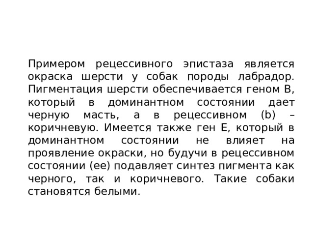  Примером рецессивного эпистаза является окраска шерсти у собак породы лабрадор. Пигментация шерсти обеспечивается геном В, который в доминантном состоянии дает черную масть, а в рецессивном (b) – коричневую. Имеется также ген Е, который в доминантном состоянии не влияет на проявление окраски, но будучи в рецессивном состоянии (ее) подавляет синтез пигмента как черного, так и коричневого. Такие собаки становятся белыми. 