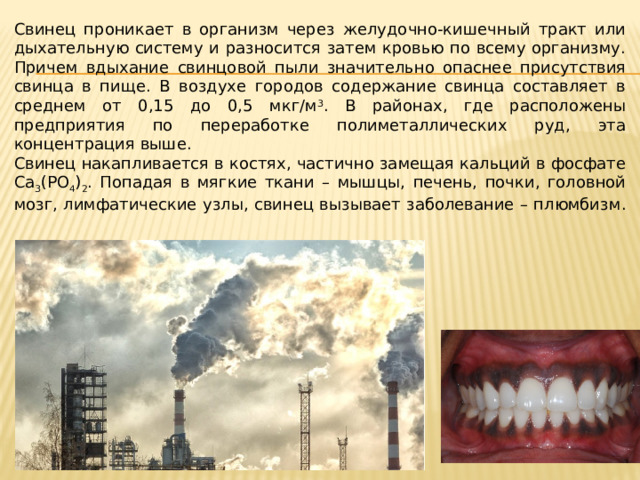 Свинец проникает в организм через желудочно-кишечный тракт или дыхательную систему и разносится затем кровью по всему организму. Причем вдыхание свинцовой пыли значительно опаснее присутствия свинца в пище. В воздухе городов содержание свинца составляет в среднем от 0,15 до 0,5 мкг/м 3 . В районах, где расположены предприятия по переработке полиметаллических руд, эта концентрация выше. Свинец накапливается в костях, частично замещая кальций в фосфате Са 3 (РО 4 ) 2 . Попадая в мягкие ткани – мышцы, печень, почки, головной мозг, лимфатические узлы, свинец вызывает заболевание – плюмбизм . 