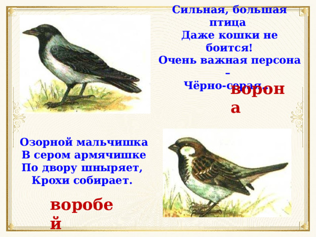 Сильная, большая птица Даже кошки не боится! Очень важная персона – Чёрно-серая… ворона Озорной мальчишка В сером армячишке По двору шныряет, Крохи собирает. воробей 