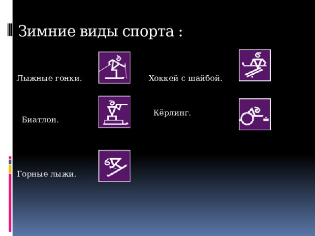 Зимние виды спорта :   Лыжные гонки. Хоккей с шайбой. Кёрлинг.   Биатлон. Горные лыжи. 