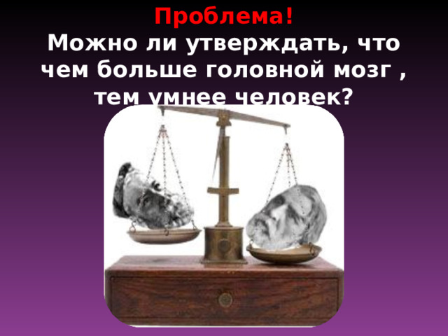  Проблема!  Можно ли утверждать, что чем больше головной мозг , тем умнее человек? 