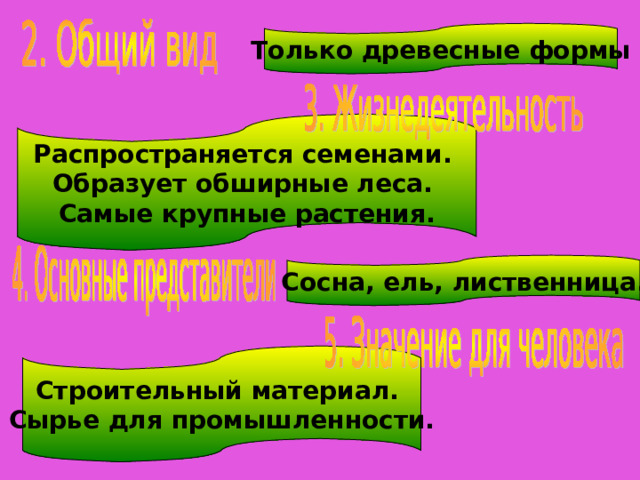 Только древесные формы Распространяется семенами. Образует обширные леса. Самые крупные растения. Сосна, ель, лиственница. Строительный материал. Сырье для промышленности. 