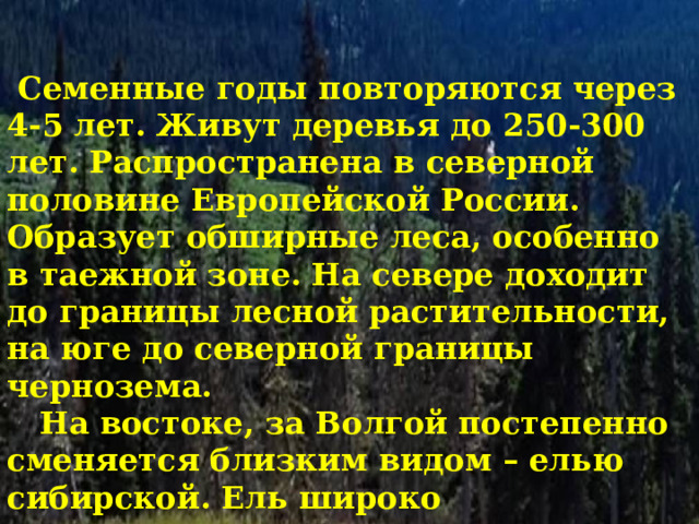  Семенные годы повторяются через 4-5 лет. Живут деревья до 250-300 лет. Распространена в северной половине Европейской России. Образует обширные леса, особенно в таежной зоне. На севере доходит до границы лесной растительности, на юге до северной границы чернозема.  На востоке, за Волгой постепенно сменяется близким видом – елью сибирской. Ель широко используется в озеленении населенных пунктов и придорожных снегозащитных насаждениях. 