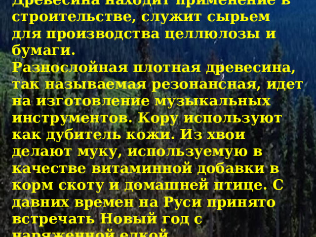 Древесина находит применение в строительстве, служит сырьем для производства целлюлозы и бумаги. Разнослойная плотная древесина, так называемая резонансная, идет на изготовление музыкальных инструментов. Кору используют как дубитель кожи. Из хвои делают муку, используемую в качестве витаминной добавки в корм скоту и домашней птице. С давних времен на Руси принято встречать Новый год с наряженной елкой. 