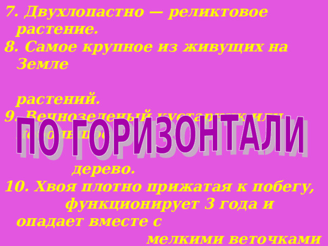7. Двухлопастно  — реликтовое растение. 8. Самое крупное из живущих на Земле  растений. 9. Вечнозеленый кустарник или небольшое  дерево. 10. Хвоя плотно прижатая к побегу,  функционирует 3 года и опадает вместе с  мелкими веточками (веткопад). 11. Листопадное дерево. Распространена в средней России На севере доходит до тундры. Разводится в парках. 12. Не дерево, не куст, не трава, а нечто совершенно своеобразное. 