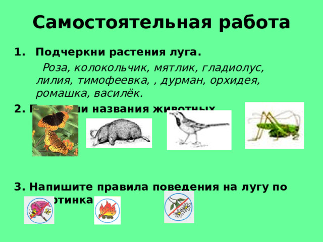 Самостоятельная работа Подчеркни растения луга.  Роза, колокольчик, мятлик, гладиолус, лилия, тимофеевка, , дурман, орхидея, ромашка, василёк. 2. Подпиши названия животных.     3. Напишите правила поведения на лугу по картинкам.  