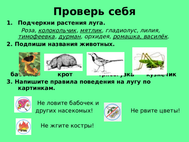 Проверь себя Подчеркни растения луга.  Роза, колокольчик , мятлик , гладиолус, лилия, тимофеевка , дурман , орхидея, ромашка, василёк . 2. Подпиши названия животных.     бабочка крот трясогузка кузнечик 3. Напишите правила поведения на лугу по картинкам.  Не ловите бабочек и  других насекомых! Не рвите цветы!  Не жгите костры! 