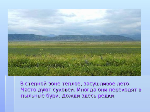  В степной зоне теплое, засушливое лето. Часто дуют суховеи. Иногда они переходят в пыльные бури. Дожди здесь редки. 