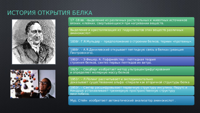 История открытия белка 17 -18 вв. –выделение из различных растительных и животных источников вязких, клейких, свертывающихся при нагревании веществ. Выделение и кристаллизация из  гидролизатов этих веществ различных аминокислот. 1838г. Г.Я.Мульдер -  предположение о строении белков, термин «протеины». 1888г. – А.Я.Данилевский открывает пептидную связь в белках (реакция Пиотровского). 1902г. – Э.Фишер, А. Гоффмейстер – пептидная теория строения белков, синтез первых пептидов ин витро. 1925г. – Сведберг изобретает метод ультрацентрифугирования и определяет молярную массу белков 1951г. – Л.Полинг рассчитывает и экспериментально доказывает существование альфа –спирали как вторичной структуры белка 1953г. – Сэнгер расшифровывает первичную структуру инсулина, Перутс и Кендрью устанавливают трехмерную пространственную структуру миоглобина. Мур, Стейн  изобретают автоматический анализатор аминокислот . 