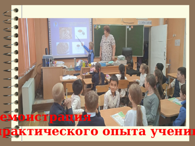 Демонстрация  практического опыта ученика 
