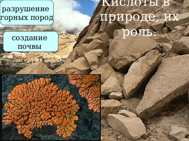 Кислоты в  природе, их роль. разрушение горных пород создание почвы 