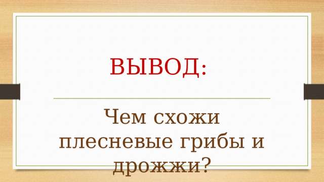 ВЫВОД: Чем схожи плесневые грибы и дрожжи? 