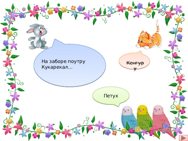 На заборе поутру Кукарекал… Кенгуру Петух 