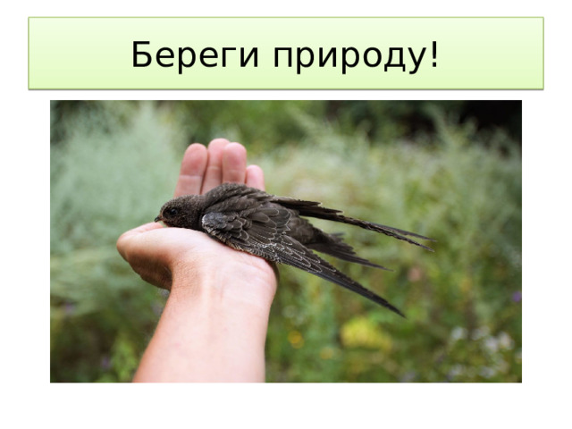 Береги природу! 